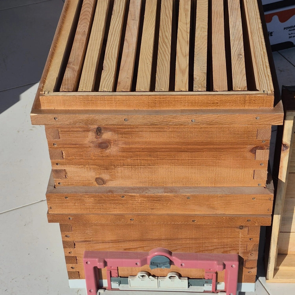 Kovan Katlı 20 Çıtalı