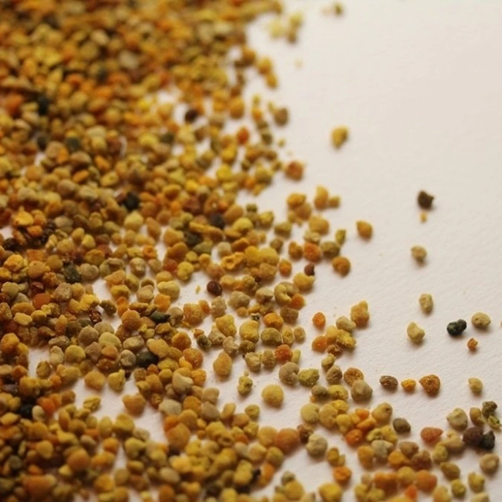 Polen yerli yaş (100 gr)