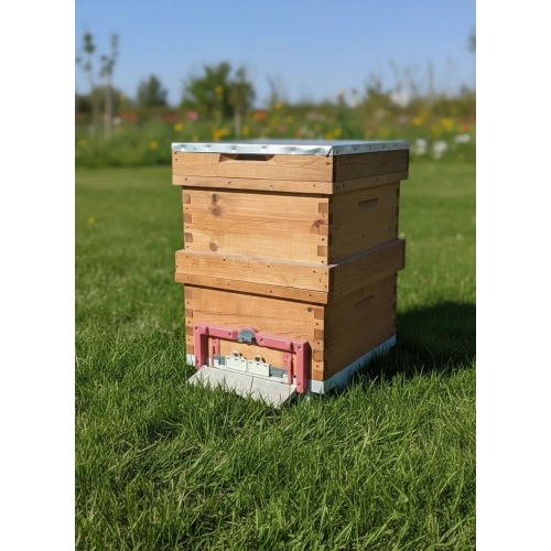 Kovan Katlı 20 Çıtalı