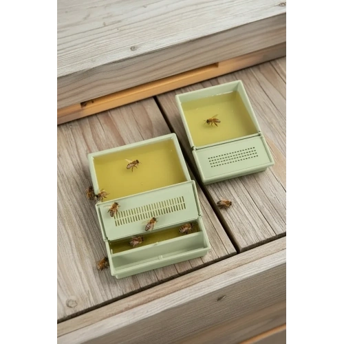 30021B PLASTiK KUTU YEMLİK (190mm x 260 mm x 40 mm) (RENKLİ)