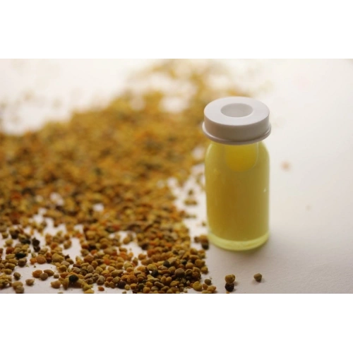 Arı Sütü İthal (10 gr)