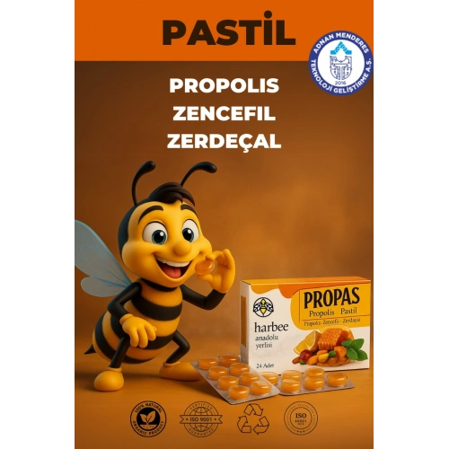 Bogaz Pastili