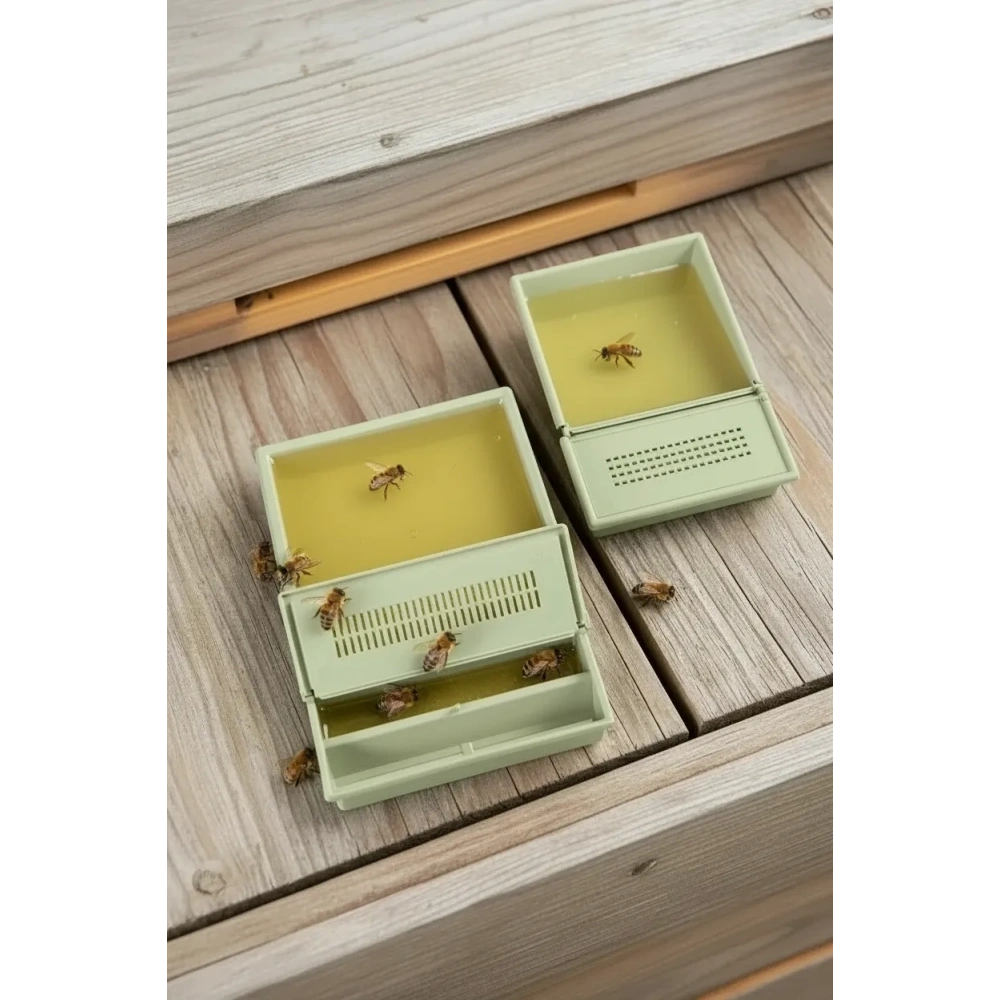 30021B PLASTiK KUTU YEMLİK (190mm x 260 mm x 40 mm) (RENKLİ)