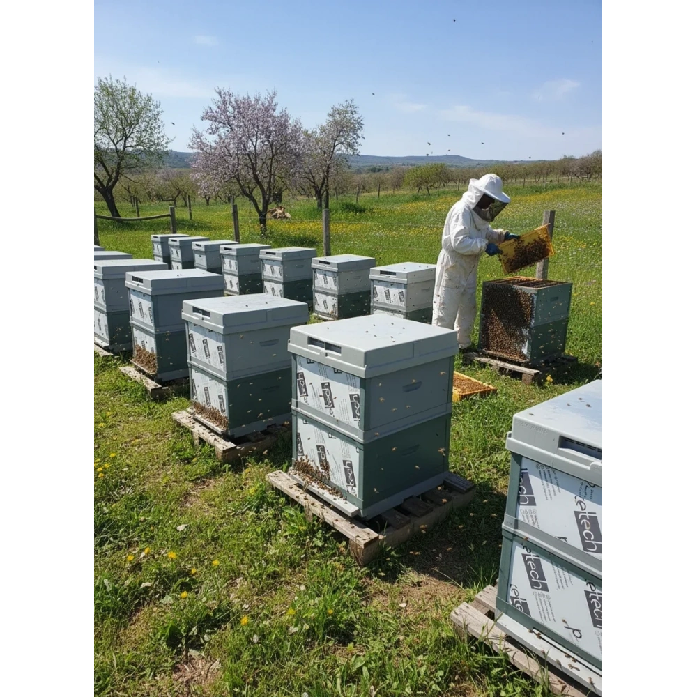 PLASTİK KOVAN DE MONTE