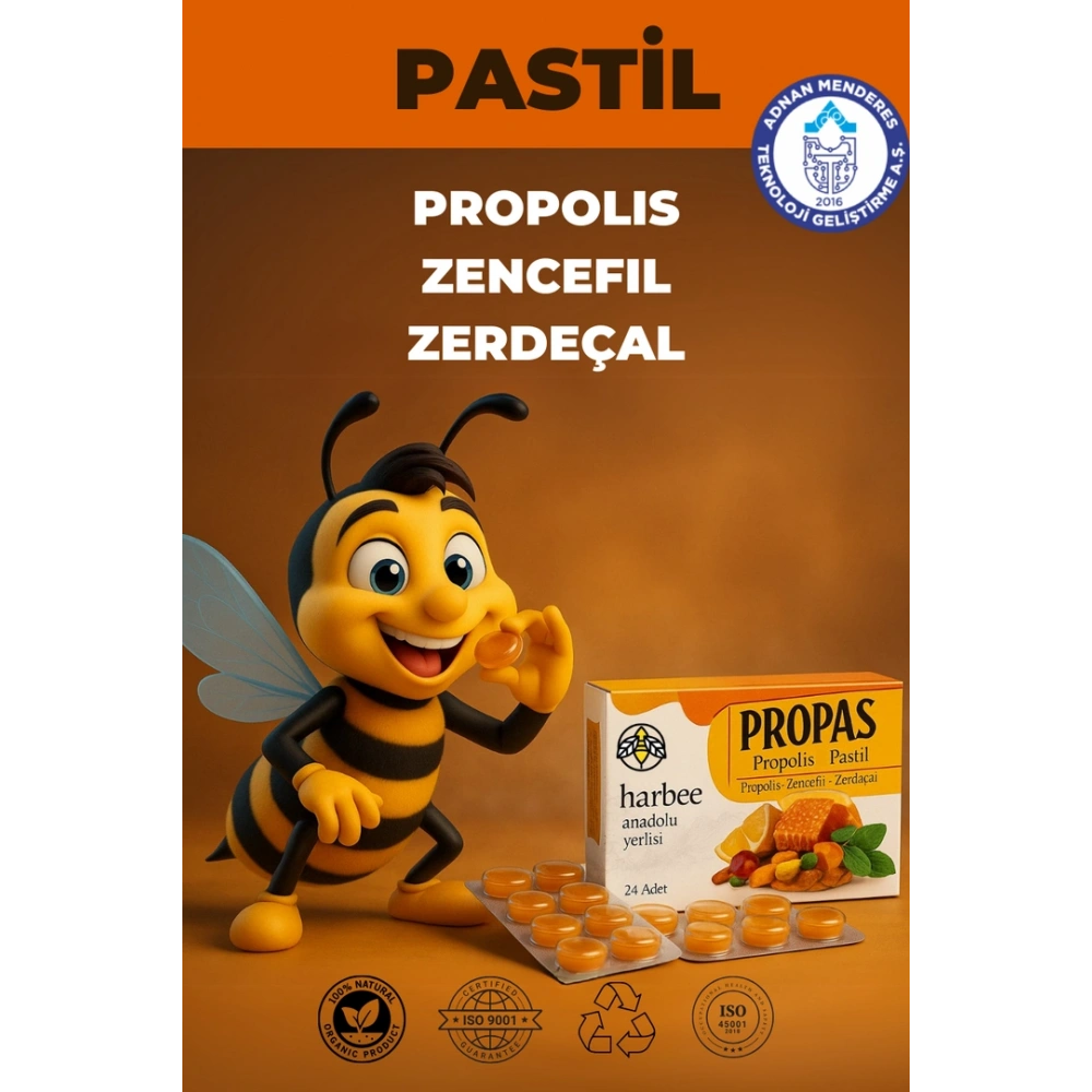 Bogaz Pastili