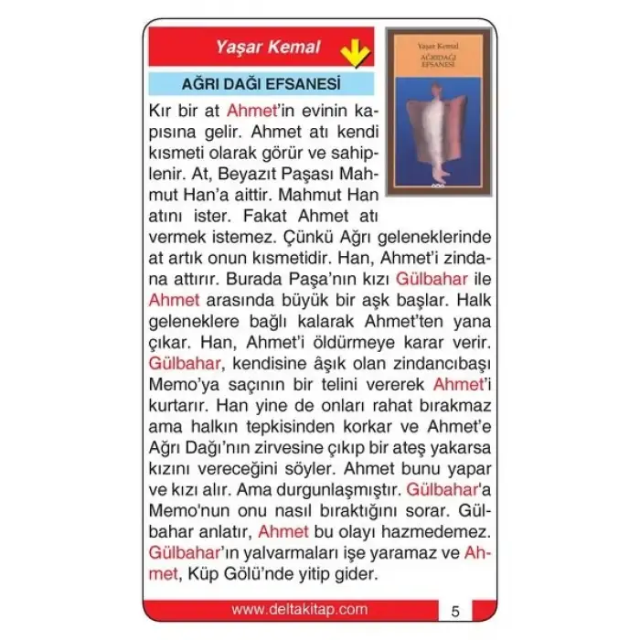 Roman Özetleri Kartları - Delta Kültür Yayınları