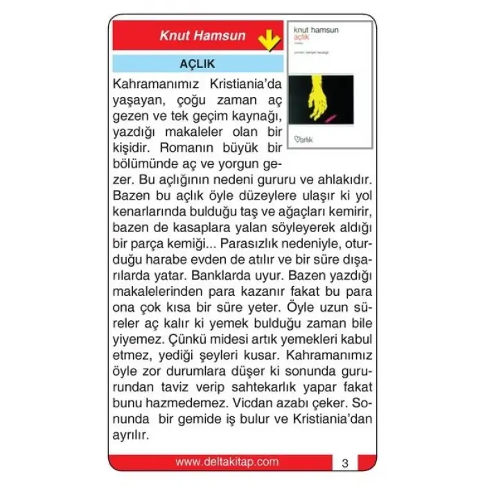 Roman Özetleri Kartları - Delta Kültür Yayınları
