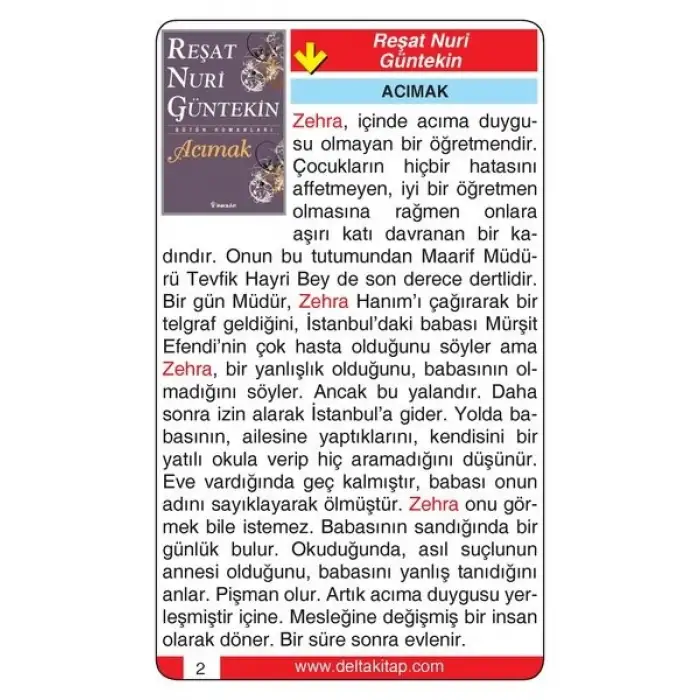 Roman Özetleri Kartları - Delta Kültür Yayınları
