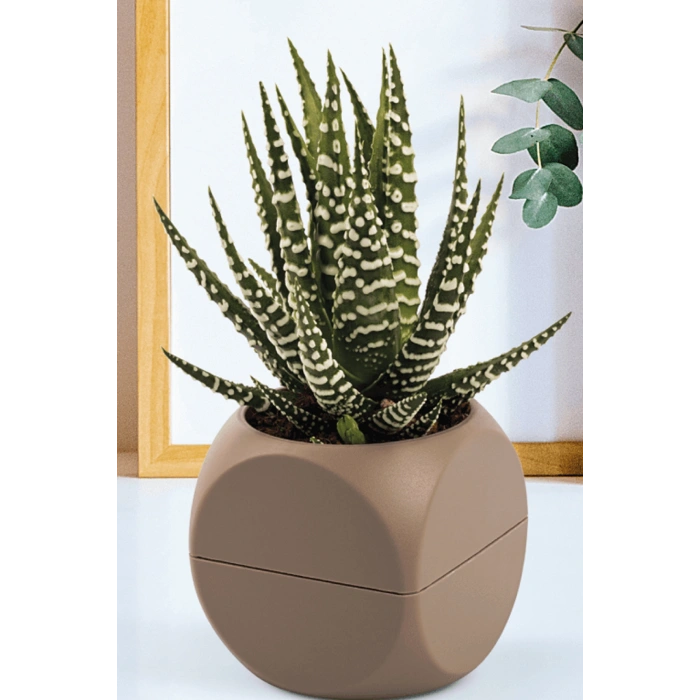 1 No Küp Saksı Royaleks-krs-401