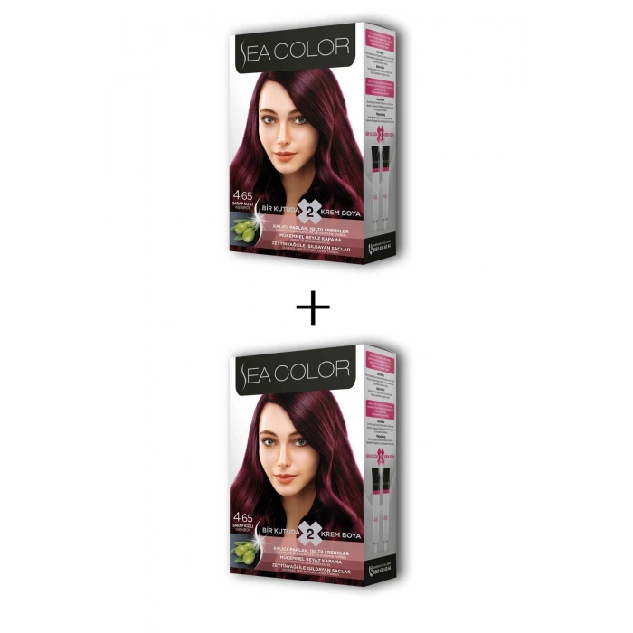 2x2 Tüp Krem Saç Boyası Seti Şarap Kızılı No:4.65