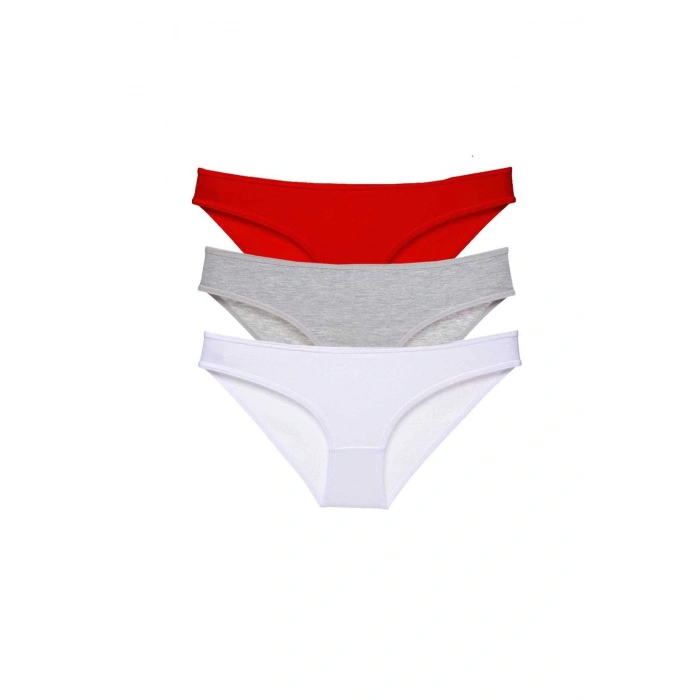 3 Adet Süper Eko Set Likralı Kadın Slip Külot 542