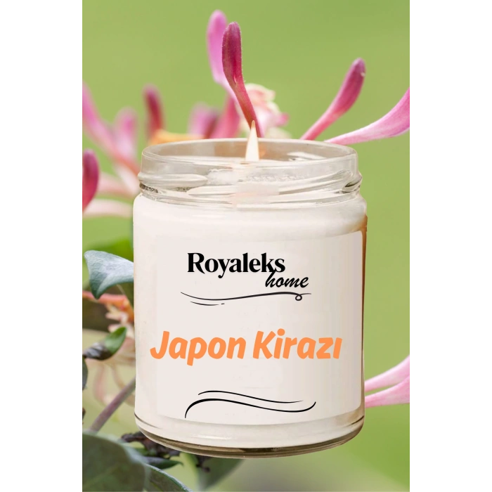 4 Adet Doğal Özel Seri Kokulu Dekoratif Kavanoz Mum 4x210 Cc - Tropikal Set - Ryl