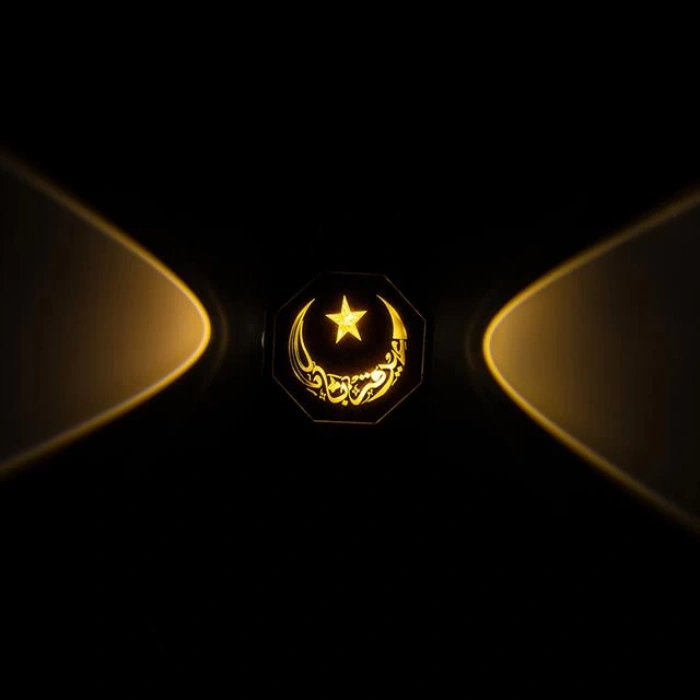 PowerMaster PM-24445 3000K Ayyıldız Hilal Dekoratif LED Duvar Aplik