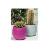 Bitki Ve Kaktüs Saksısı 0,13 Lt 1 No Royaleks-es01