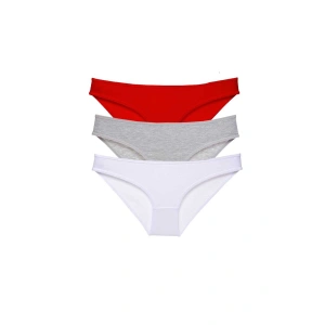 3 Adet Süper Eko Set Likralı Kadın Slip Külot 542