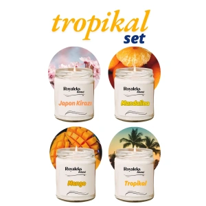 4 Adet Doğal Özel Seri Kokulu Dekoratif Kavanoz Mum 4x210 Cc - Tropikal Set - Ryl