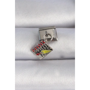 HarmonyAura 316L Çelik Gümüş Renk Sallantı Defter Figür Nomination Charm