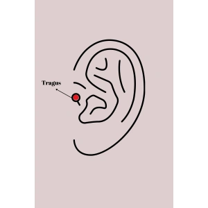 HarmonyAura 316L Çelik Gümüş Renk Zirkon Taşlı Mavi Boncuk Detay Tragus Piercing