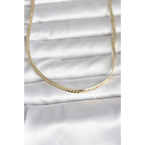 HarmonyAura CM 14K Gold Renk Yassı Zincir Model 45 cm Kadın Kolye