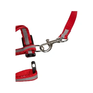 Reflektörlü Kedi Gezdirme Tasması