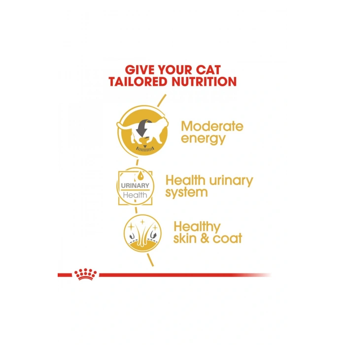 British Shorthair için Yaş Kedi Maması 12 x 85g