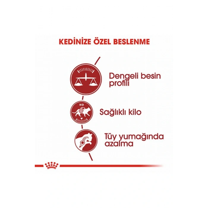 Fit 32 Adult Yetişkin Kedi Maması 15 Kg