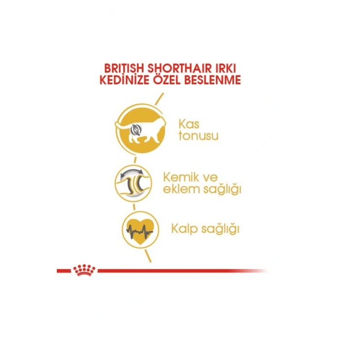 British Shorthair Adult Yetişkin Kedi Maması 400 Gr