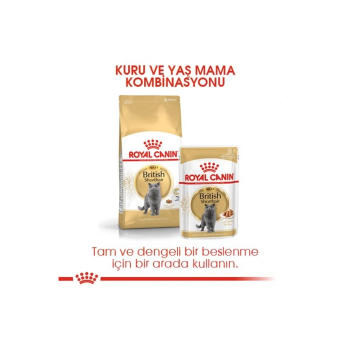 British Shorthair Adult Yetişkin Kedi Maması 400 Gr