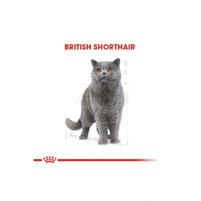 British Shorthair Adult Yetişkin Kedi Maması 400 Gr
