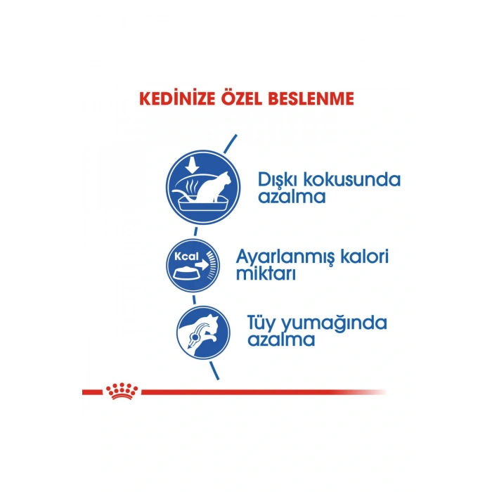 Indoor Ev Kedileri İçin Kedi Maması 400 gr