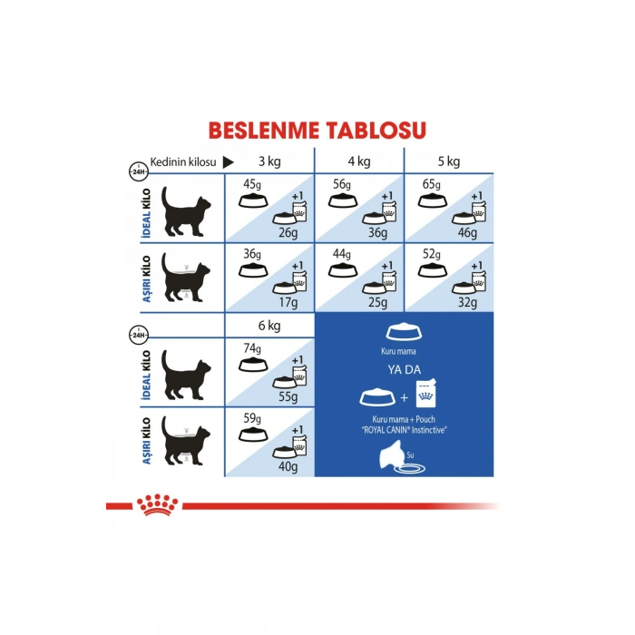 Indoor Ev Kedileri İçin Kedi Maması 400 gr