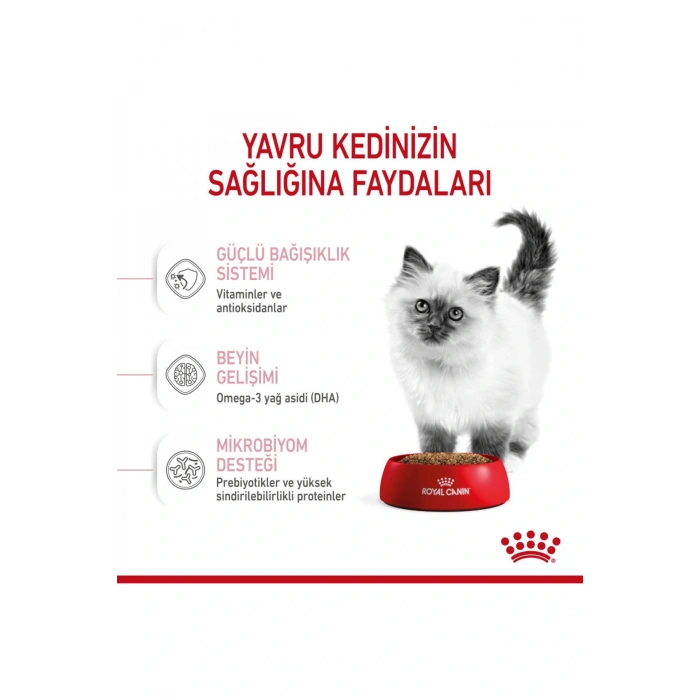 Yavru Kediler Için Kuru Kedi Maması 10kg