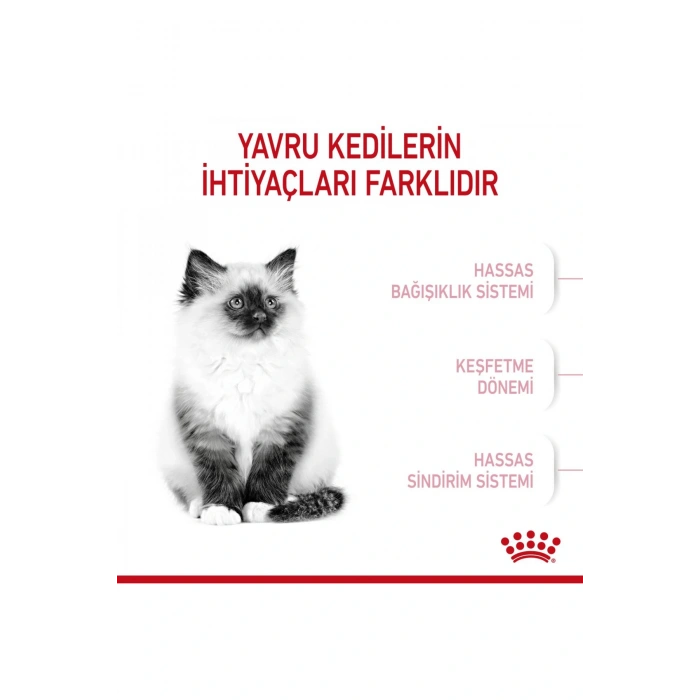 Yavru Kediler Için Kuru Kedi Maması 10kg