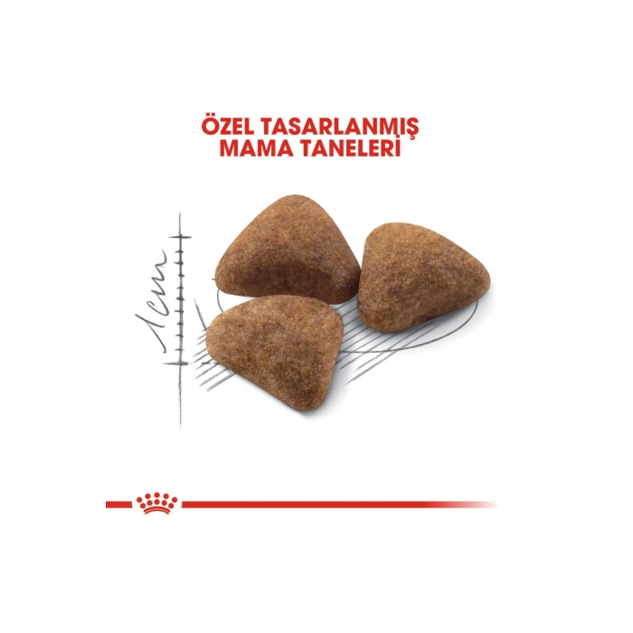 Indoor27 Yetişkin Kuru Kedi Maması 2kg