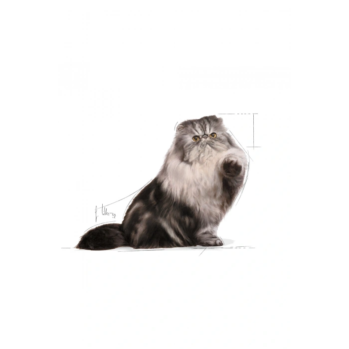 İran Kedisi Için Kuru Kedi Maması 2kg