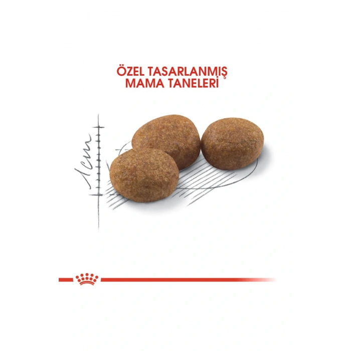 Sterilised37 Kısırlaştırılmış Kediler için Kuru Kedi Maması 2kg