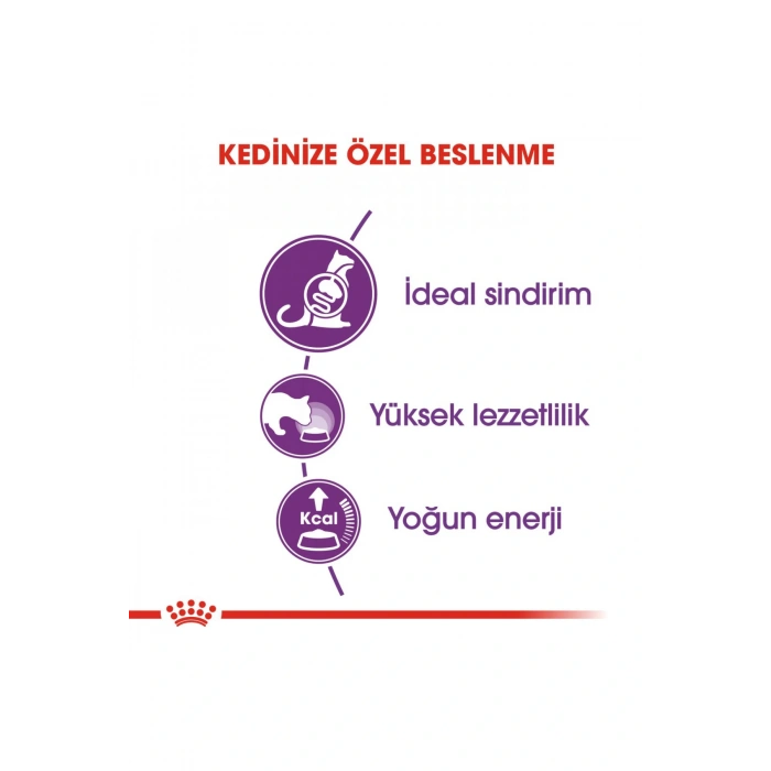 Sensible 33 Hassas Sindirim Sistemi Destekleyici Yetişkin Kedi Maması 400 Gr