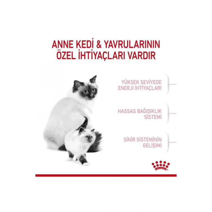 Mother&babycat Gebe/laktasyondaki Anne Ve Yavru Kedi Için Kuru Kedi Maması 2kg