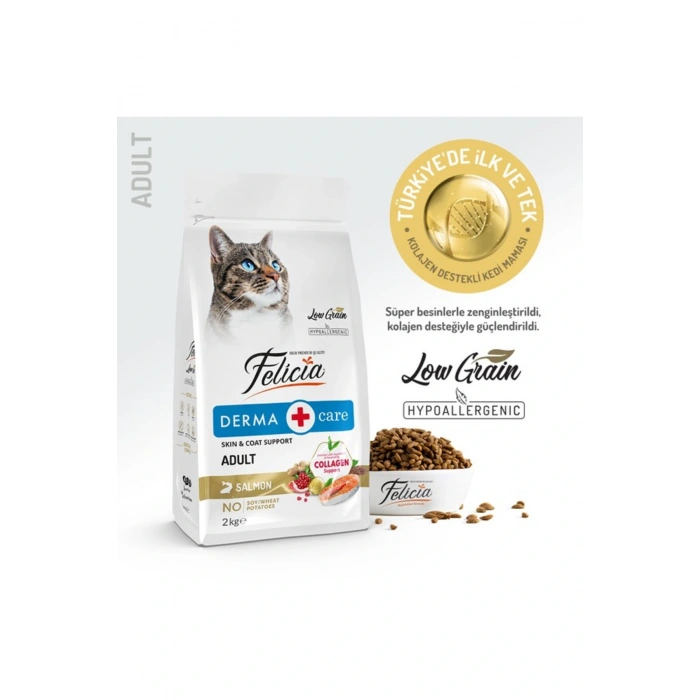 Kolajenli Somonlu Az Tahıllı Yetişkin Kedi Maması 2 Kg