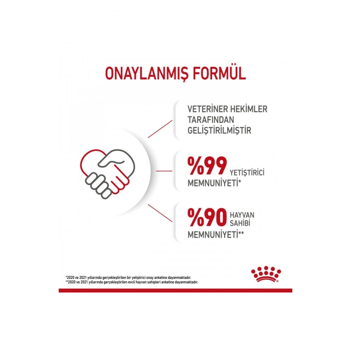 Kitten Jelly 85 Gr 12 Adet