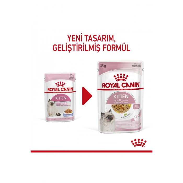Kitten Jelly 85 Gr 12 Adet