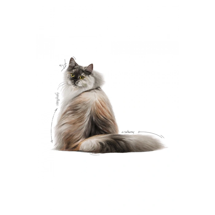 Hair&Skin Tüy ve Deri Sağlığı için Yaş Kedi Maması 12 x 85g