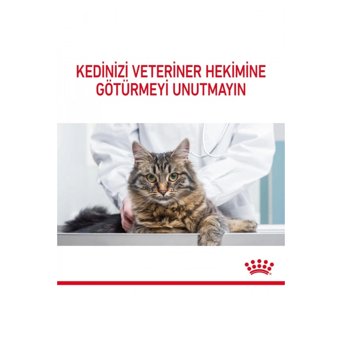 Hair&Skin Tüy ve Deri Sağlığı için Yaş Kedi Maması 12 x 85g