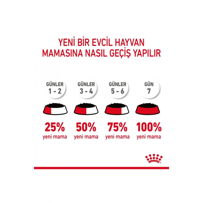 Hair&Skin Tüy ve Deri Sağlığı için Yaş Kedi Maması 12 x 85g