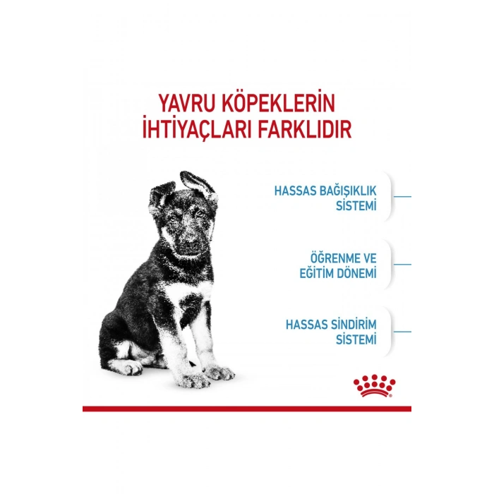 Büyük Irklar Için Yavru Kuru Köpek Maması 15kg