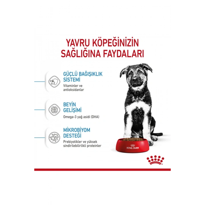 Büyük Irklar Için Yavru Kuru Köpek Maması 15kg