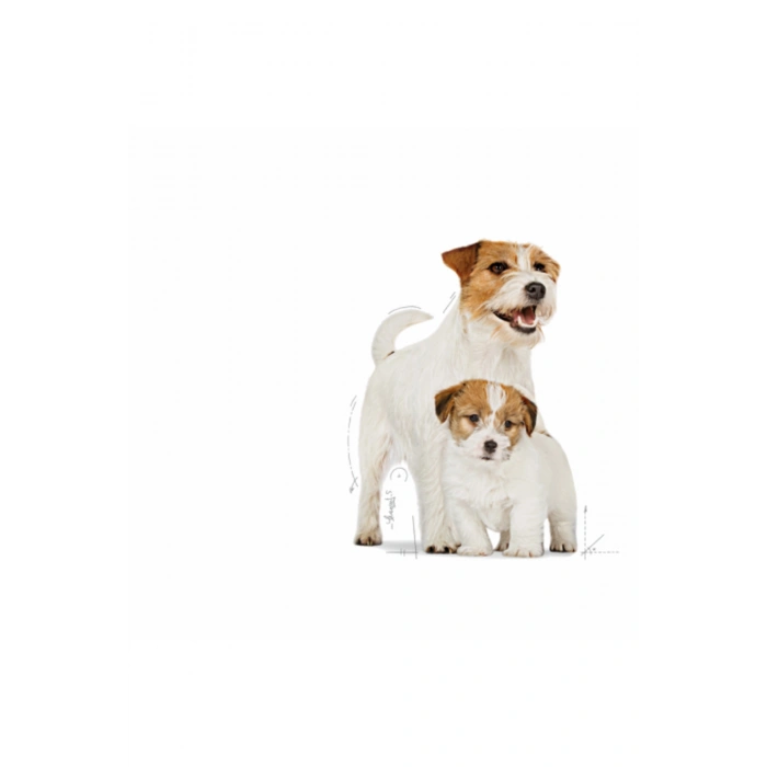 Starter Mother&babydog Gebe/laktasyondaki Anne Ve Yavru Köpekler Için Kuru Köpek Maması 4kg