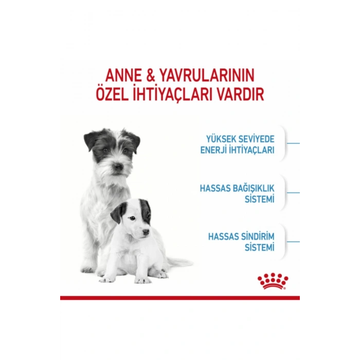 Starter Mother&babydog Gebe/laktasyondaki Anne Ve Yavru Köpekler Için Kuru Köpek Maması 4kg