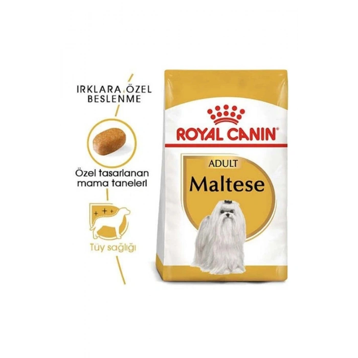 Maltese Terrier Adult Yetişkin Köpek Maması 1.5 Kg