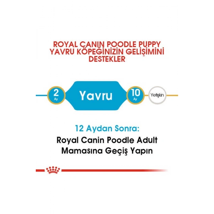 Poodle Yavru Köpek Maması 3kg